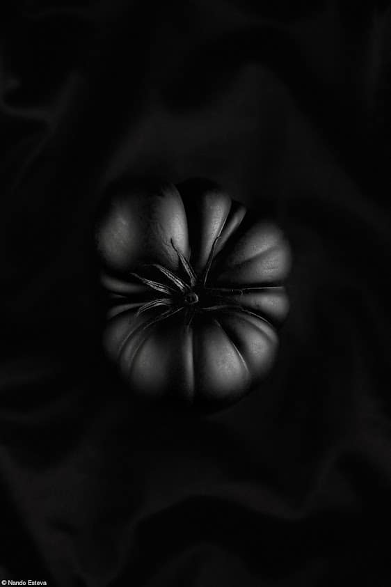 HC_nando esteva_black tomato_credited