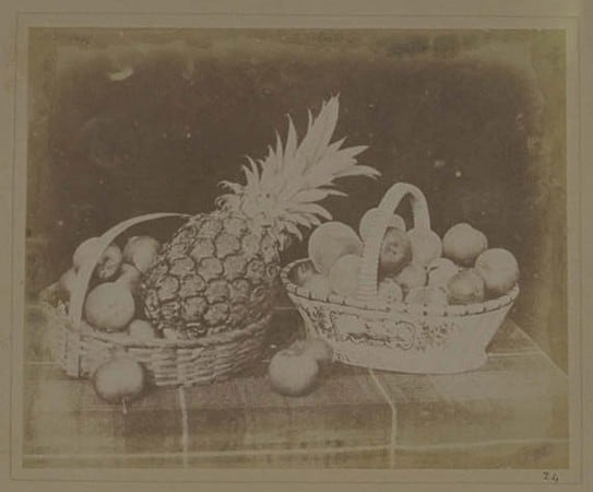 Plate XIV from The Pencil of Nature, A Fruit Piece, William Henry Fox Talbot © Science Museum Group collection history of food photography