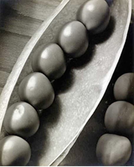 Peas in a Pod, circa 1935 by Edward W. Quigley A silver gelatin print food photography