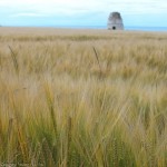 joel_roane_dove-house