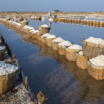 mick_shippen_salt_baskets