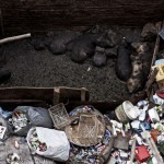 sandro_madelena_piggery-in-garbage-city